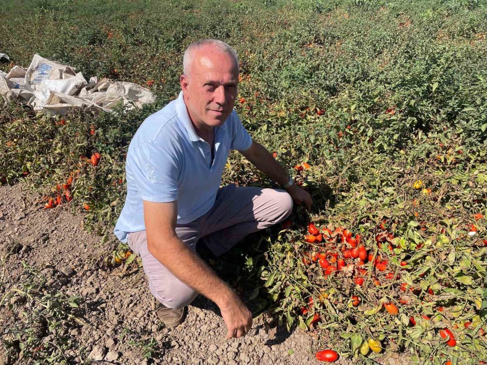 Dedesi Seçimde Muhtar Oldu Adına "Seçim" Konuldu