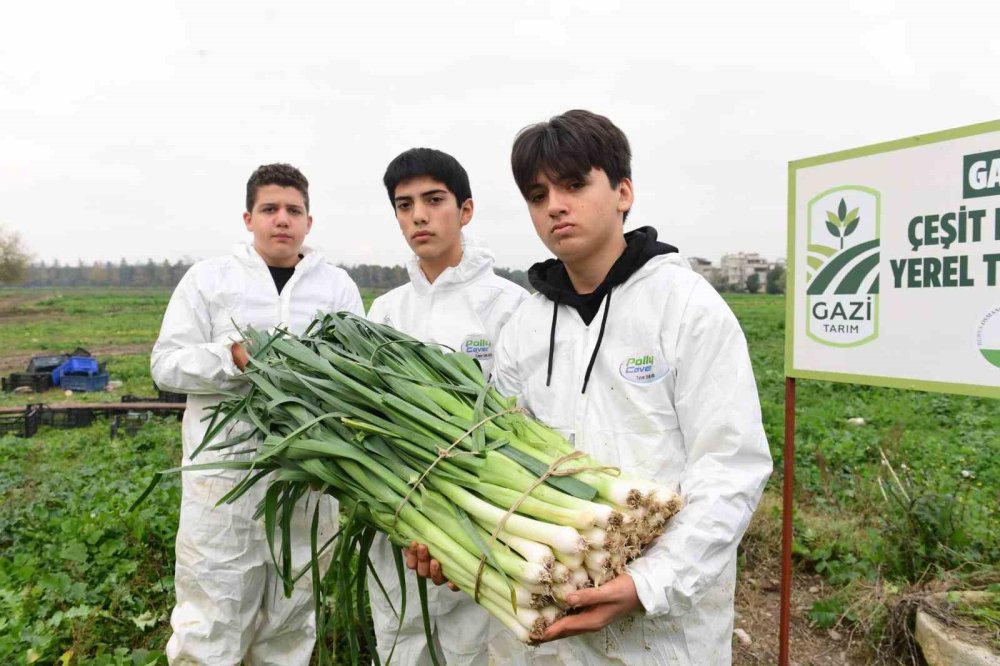 Pırasa Hasadıyla Doğallık Sofralara Taşınıyor