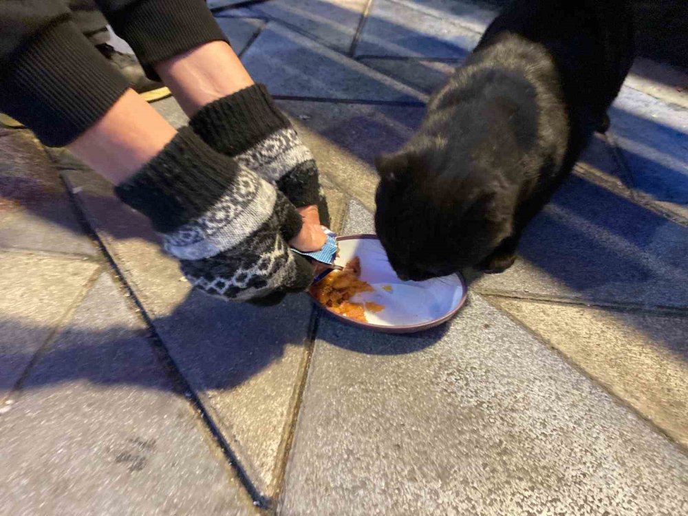 Bu Taksi Durağı Esnafın Hayvan Sevgisi İle Öne Çıkıyor