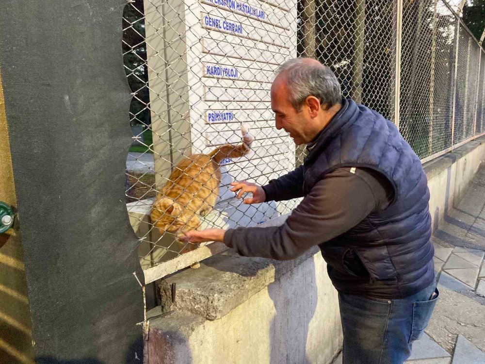 Bu Taksi Durağı Esnafın Hayvan Sevgisi İle Öne Çıkıyor