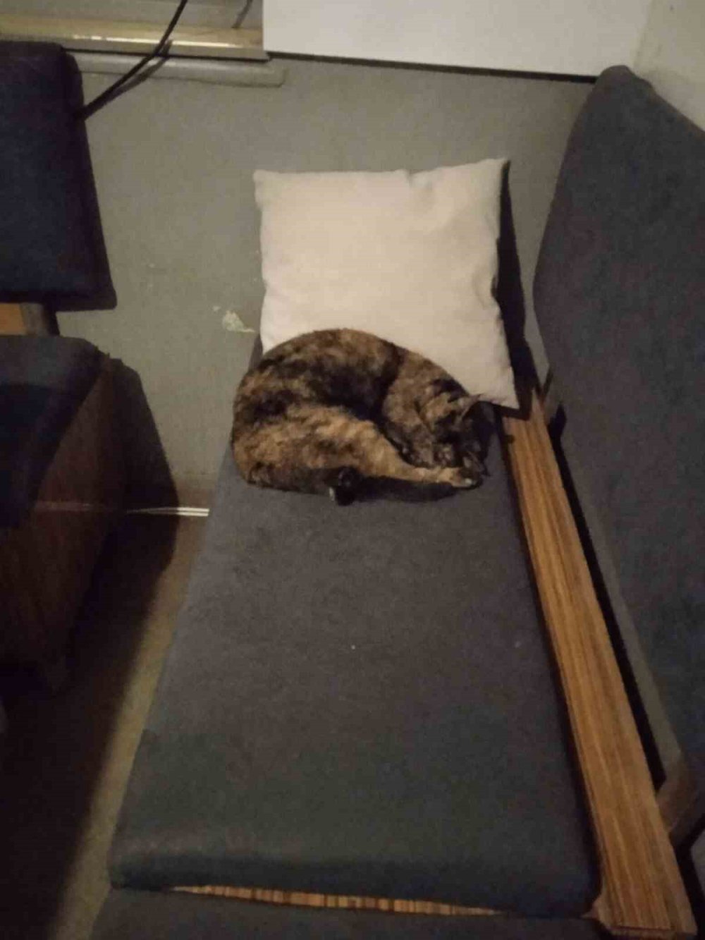 Bu Taksi Durağı Esnafın Hayvan Sevgisi İle Öne Çıkıyor