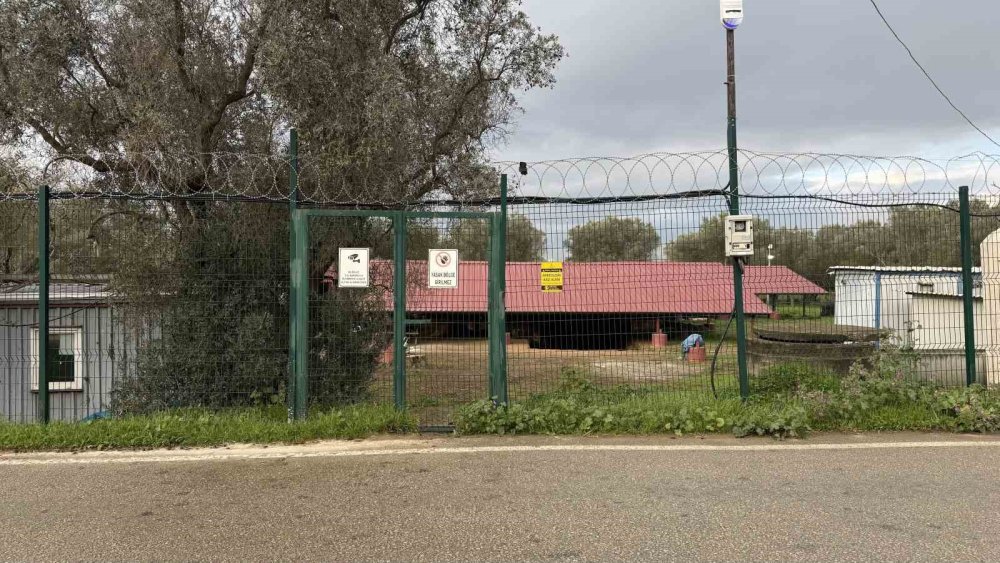 "Çoban İsa" Figürünün Keşfedildiği Lahit Tarlası Gece Gündüz Korunuyor