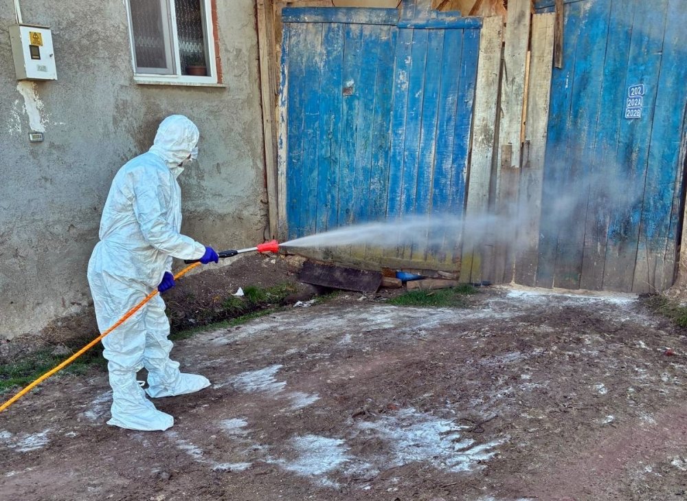 Çavdarhisar’da Hayvan İşletmelerinde Salgın Hastalıklara Karşı Dezenfeksiyon