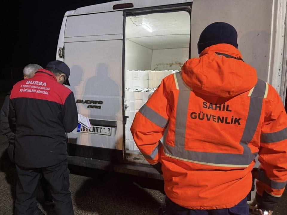 Balık Halinde Gece Operasyonu