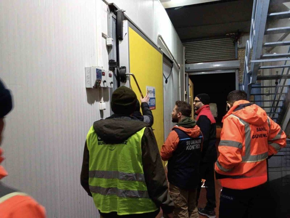 Balık Halinde Gece Operasyonu