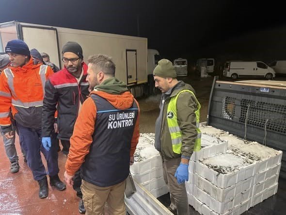 Balık Halinde Gece Operasyonu