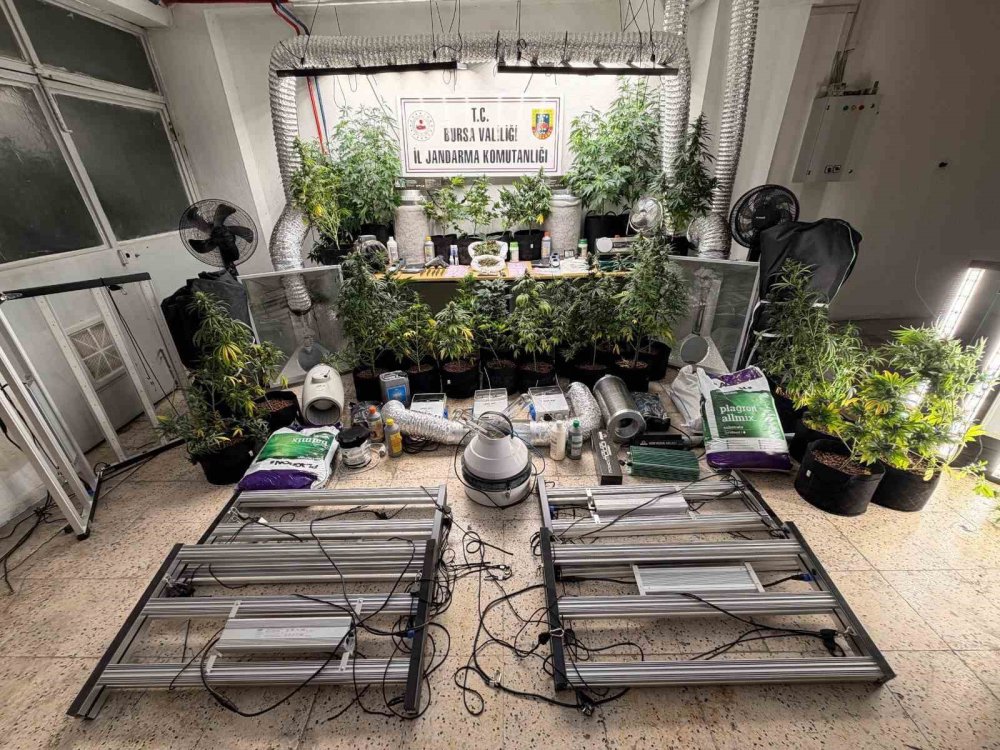 Evini Uyuşturucu İmalathanesine Çevirdi, Jandarma Operasyonuyla Yakalandı
