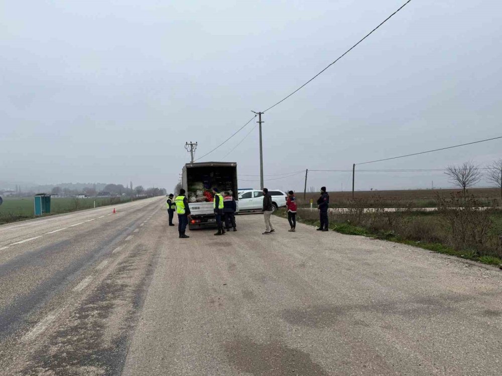 Bilecik’te Hayvan Nakillerine Sıkı Denetim