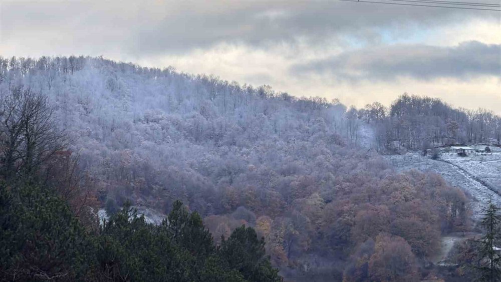 Lapa Lapa Yağdı, Aniden Bitti