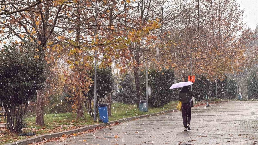 Lapa Lapa Yağdı, Aniden Bitti