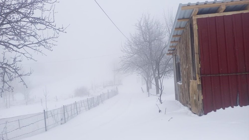 Yüksek Kesimlerde 20 Santimetreye Ulaşan Kar, İlçe Merkezinde De Yağmaya Başladı