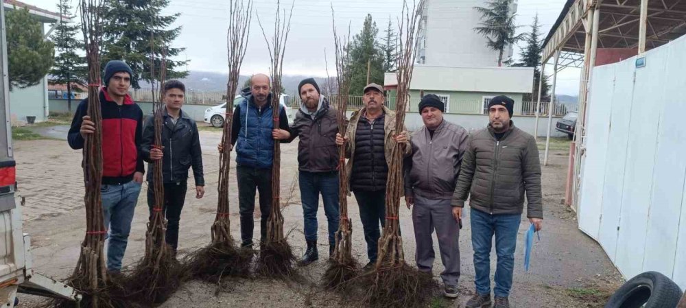 "Meyveciliği Geliştirme" Projesi Hayata Geçirildi
