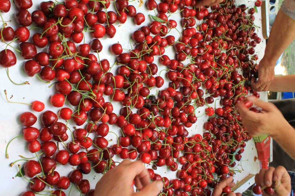 Her 4 Kişiden 2’si Biliyordu Şimdi 4 Kişiden 3’ü Biliyor