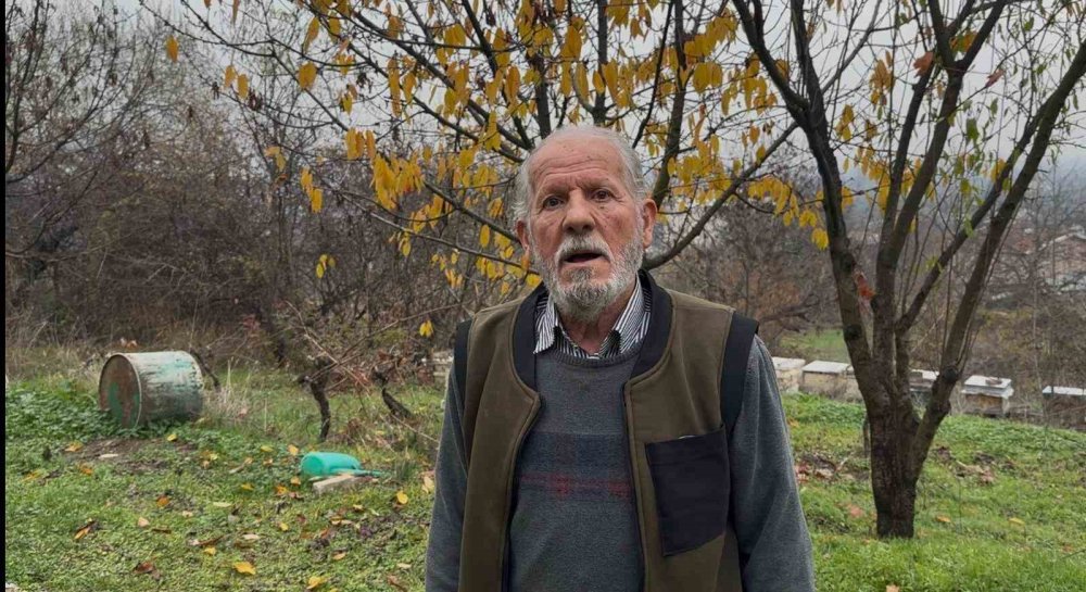 Zirai İlaç Yüzünden Milyonlarca Arısı Kovana Dönemeden Öldü