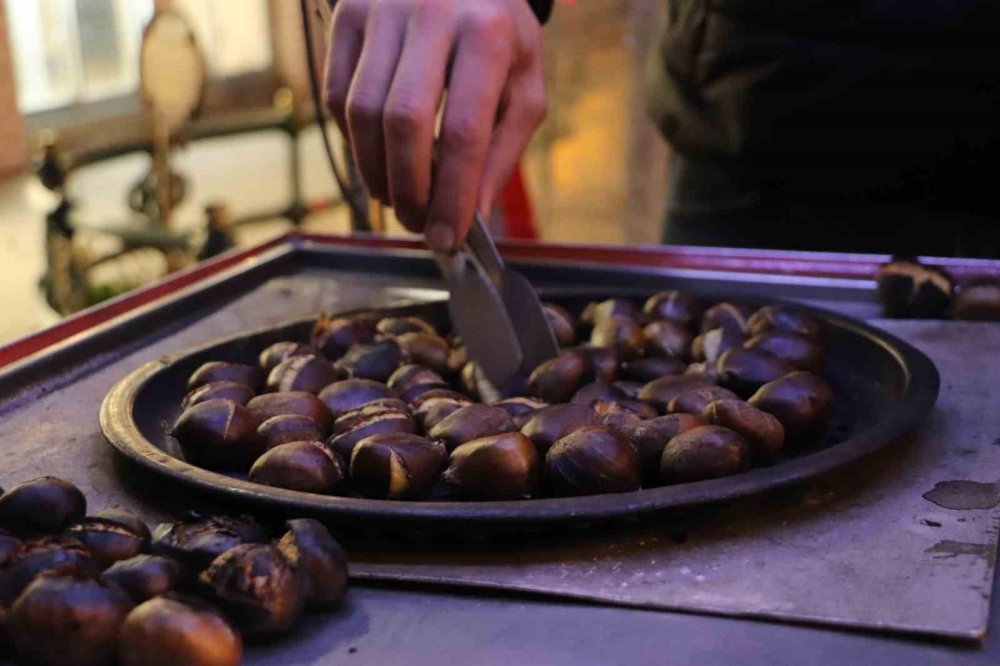 Eksi 7 Derecede Kestane Mesaisi