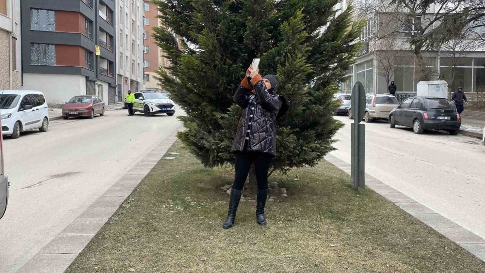 İnşaatın 8’inci Katından Atlamaya Çalıştı