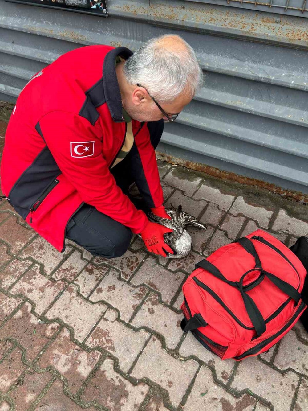 Balıkçının Oltasına Takılan Martıyı 911 Ekipleri Kurtardı