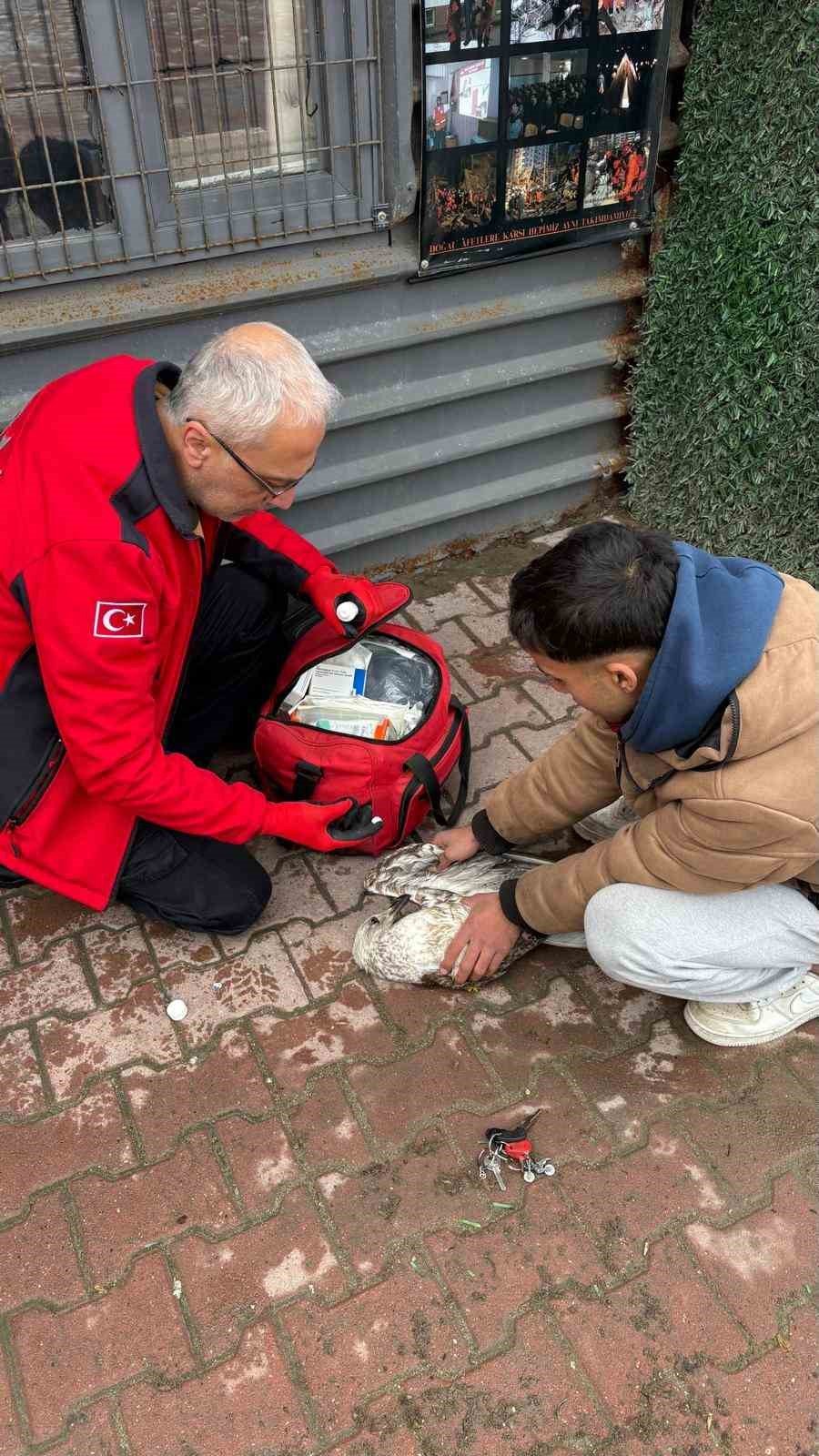 Balıkçının Oltasına Takılan Martıyı 911 Ekipleri Kurtardı