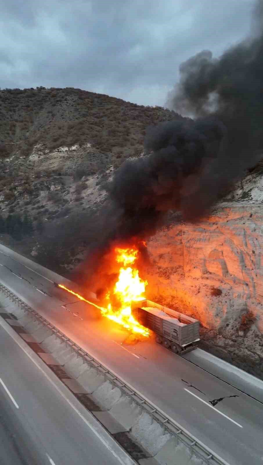 Seyir Halindeki Tır Alevlere Teslim Oldu