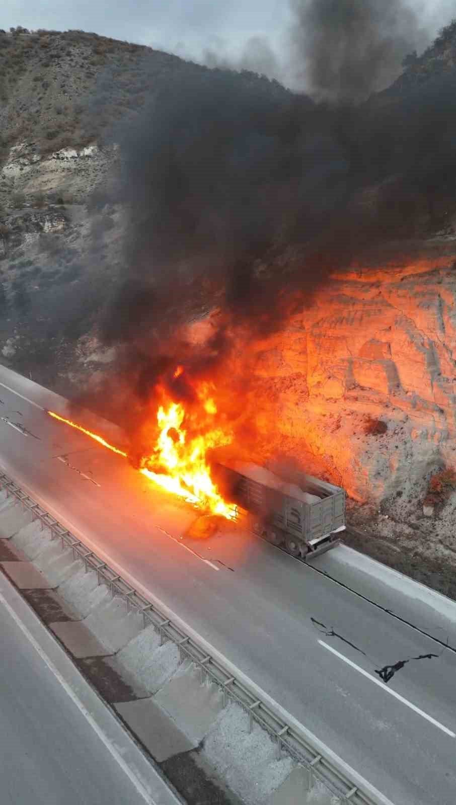 Seyir Halindeki Tır Alevlere Teslim Oldu