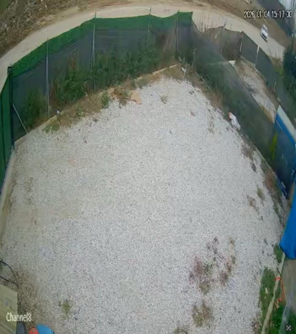 Direksiyon Hakimiyetini Kaybeden Sürücü Ölümden Döndü