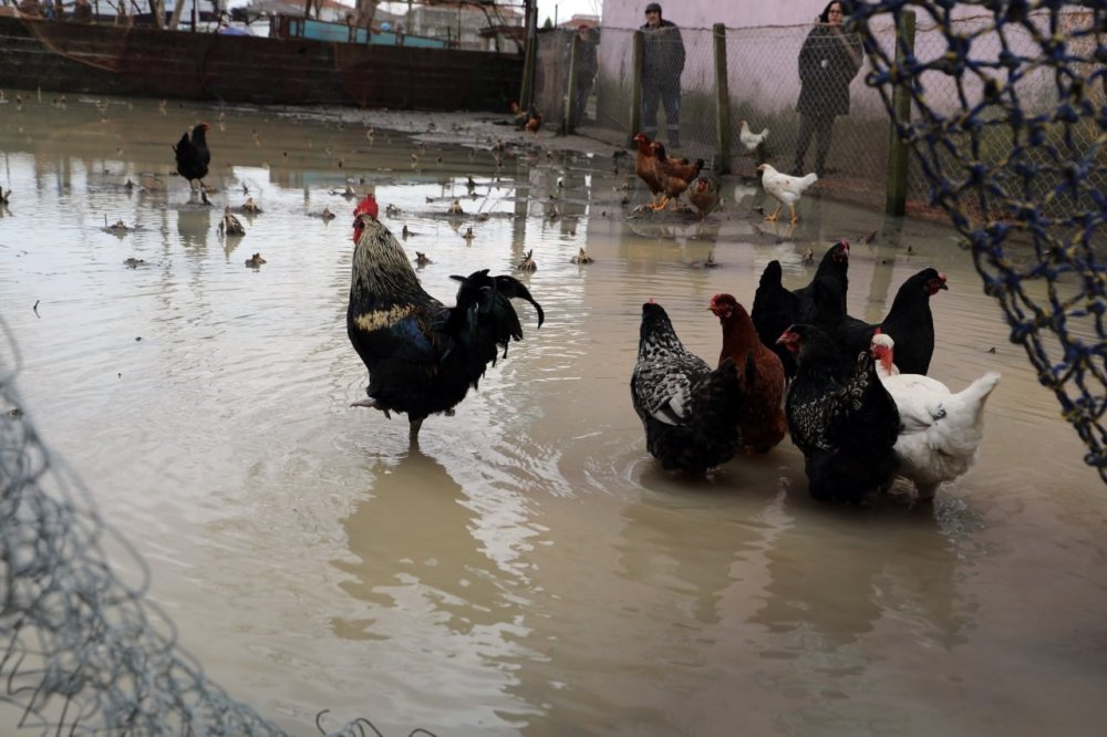 Üç Günlük Yağmur Felakete Döndü