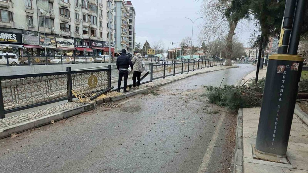 Fırtına Ve Aşırı Rüzgâr Ağaçları Devirdi