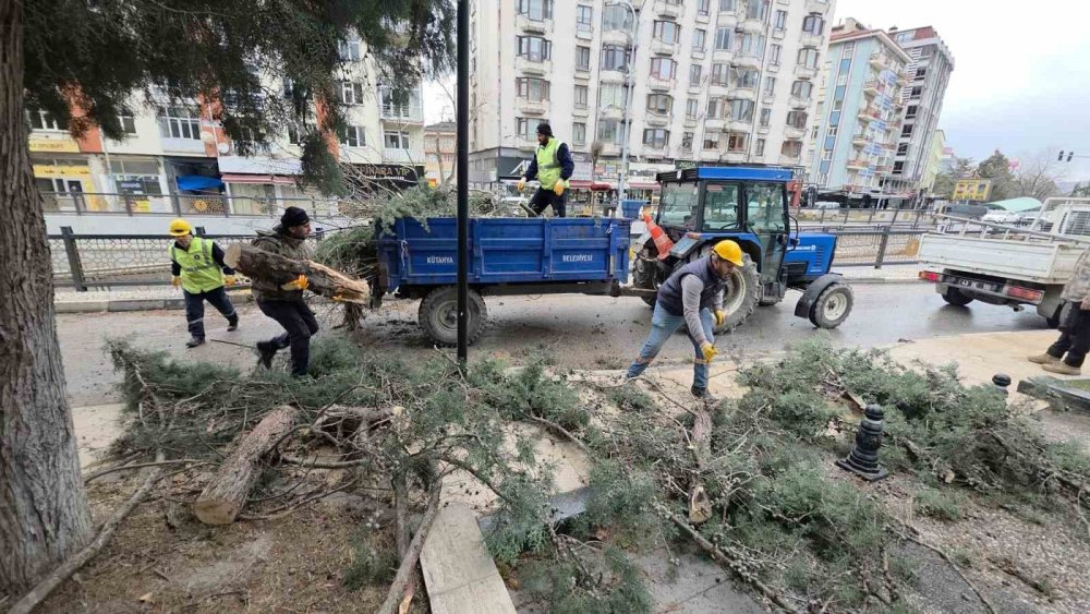 Fırtına Ve Aşırı Rüzgâr Ağaçları Devirdi