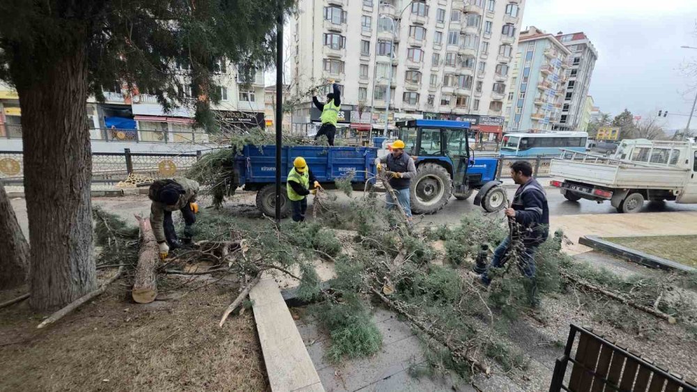 Fırtına Ve Aşırı Rüzgâr Ağaçları Devirdi