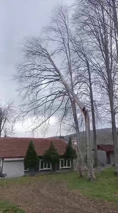 Şiddetli Rüzgar Ortalığı Savaş Alanına Çevirdi