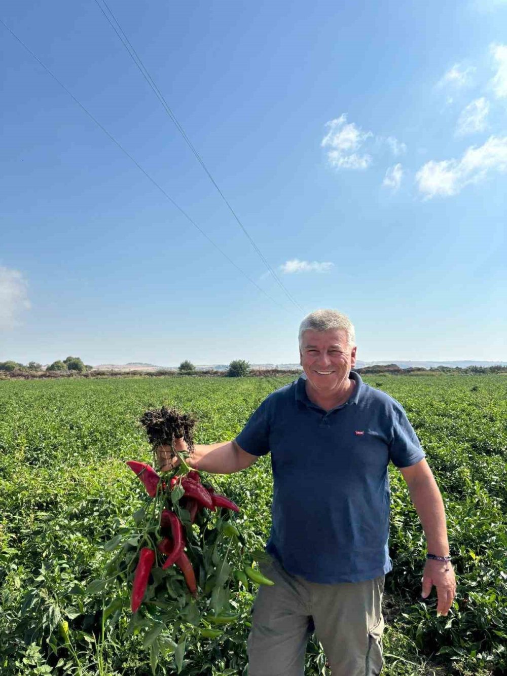 Çiftçilerden Çağrı: "Üretim Maliyetleri Baskılanamaz Hale Geldi"