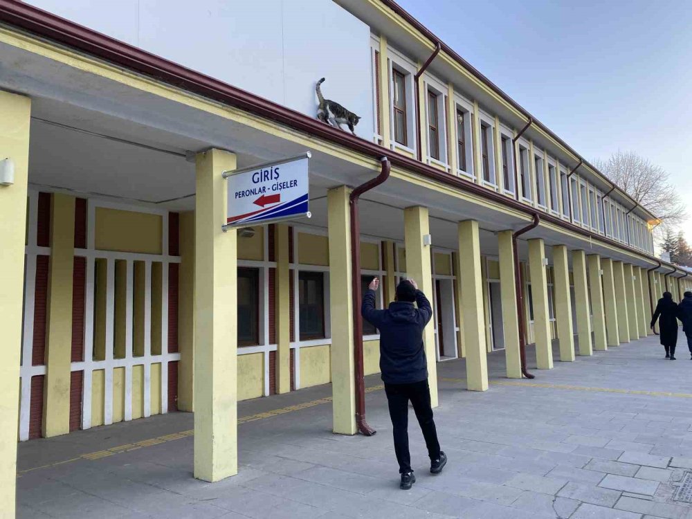 Çatıda Mahsur Kalmış Gibi Bağırıp Gençlerle Oynayan Kedi Yine Aynısını Yaptı