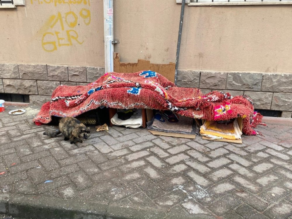 Soğuk Kış Şartlarında Hayvanlar İçin Korunaklı Kulübeler Yaptılar