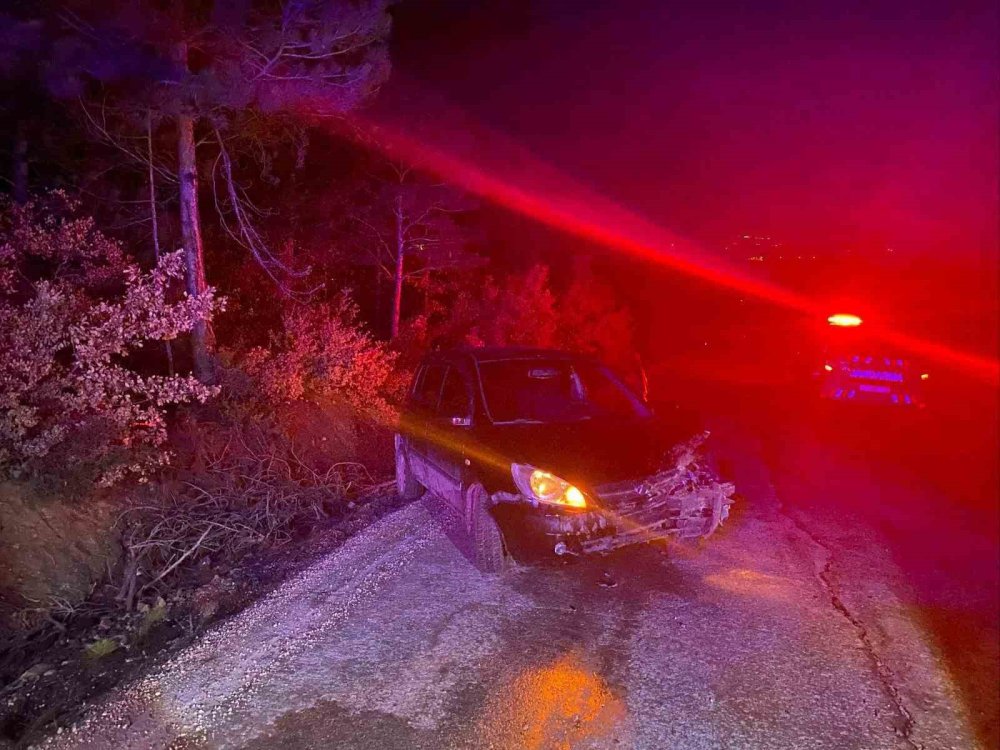 Kontrolden Çıkan Otomobil Ağaca Çarptı: 1 Yaralı