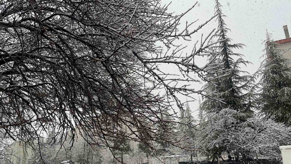 Sabah Saatlerinde Kar Yağışı Etkili Oldu