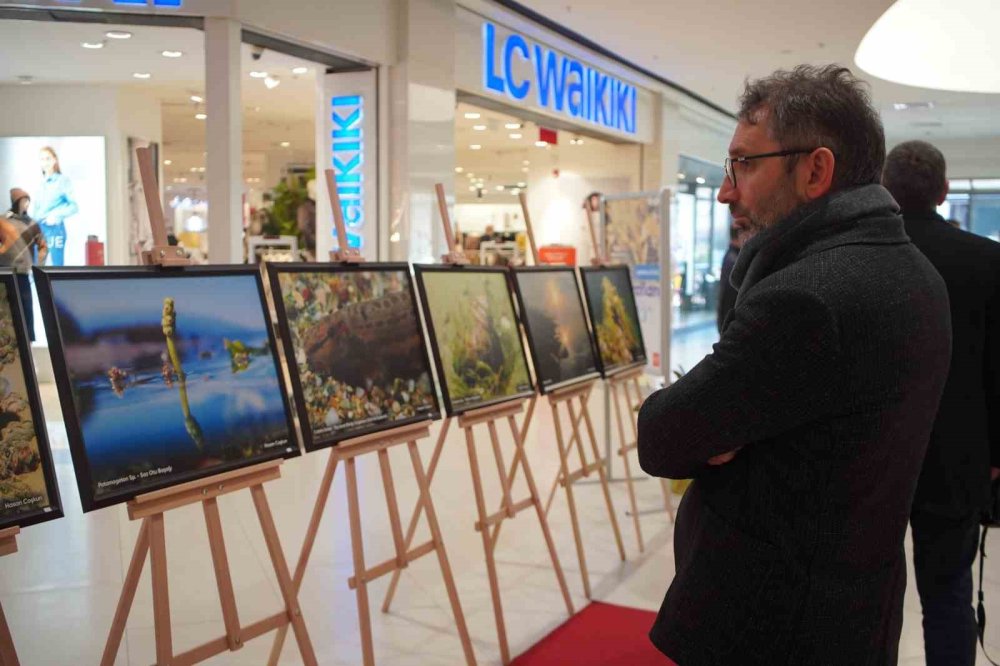 Sapanca Gölü Fotoğrafları Gazze İçin Umuda Dönüştü