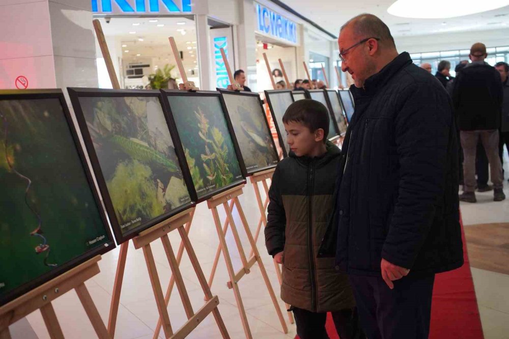 Sapanca Gölü Fotoğrafları Gazze İçin Umuda Dönüştü