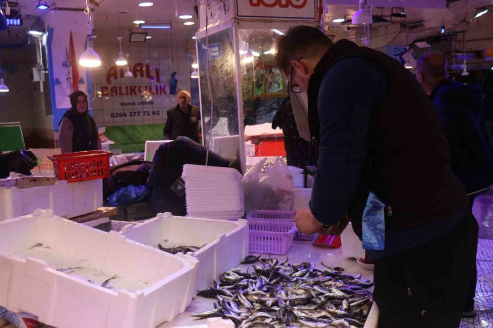 Tezgahlar İstavritle Doldu