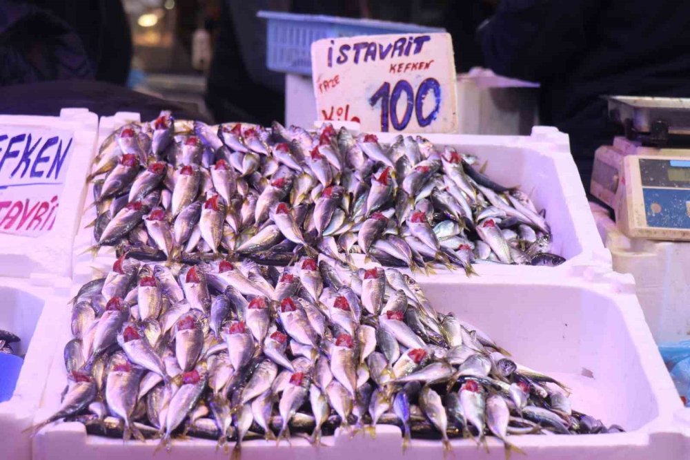 Tezgahlar İstavritle Doldu