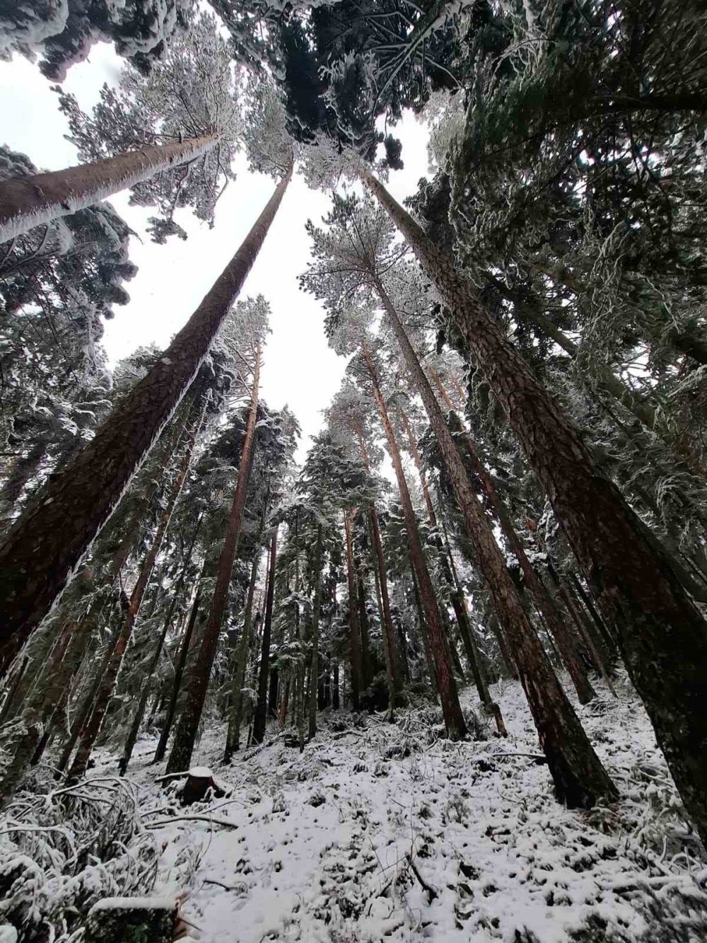 30 Kilometrelik Zorlu Orman Parkurunu Geride Bıraktılar