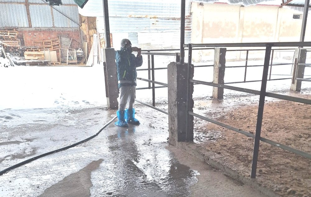 Hayvancılık İşletmelerine Yönelik Besilik Hayvan Kapasite Tespit Çalışması