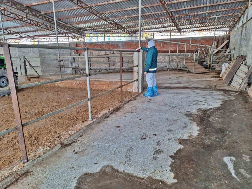 Hayvancılık İşletmelerine Yönelik Besilik Hayvan Kapasite Tespit Çalışması