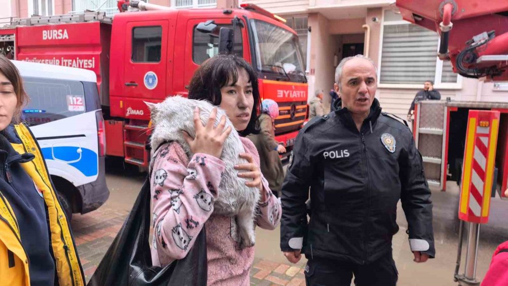 Yangında Can Pazarı...Çocuklar Tahliye Edildi, Kediler Kurtarıldı