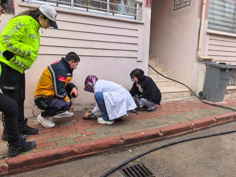 Yangında Can Pazarı...Çocuklar Tahliye Edildi, Kediler Kurtarıldı