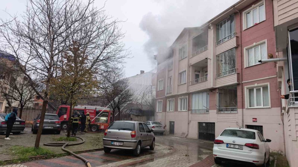 Yangında Can Pazarı...Çocuklar Tahliye Edildi, Kediler Kurtarıldı