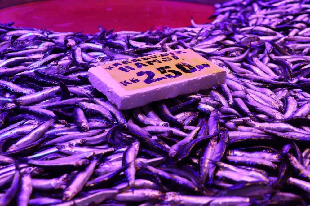 Soğuk Havalar, Balık Tezgahlarını Da Vurdu