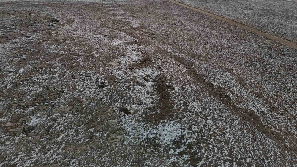 Köyde İlginç Arazi Sıkıntısı