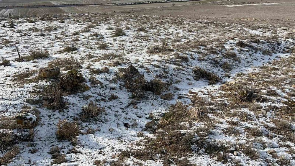 Köyde İlginç Arazi Sıkıntısı