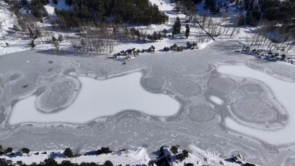 Üzerinde Çökertme Oynadığı, Buzu Kesip Suya Girdi