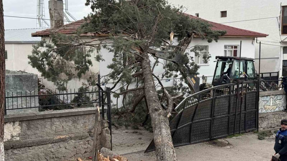 Okulların Tatil Olması Faciayı Önledi
